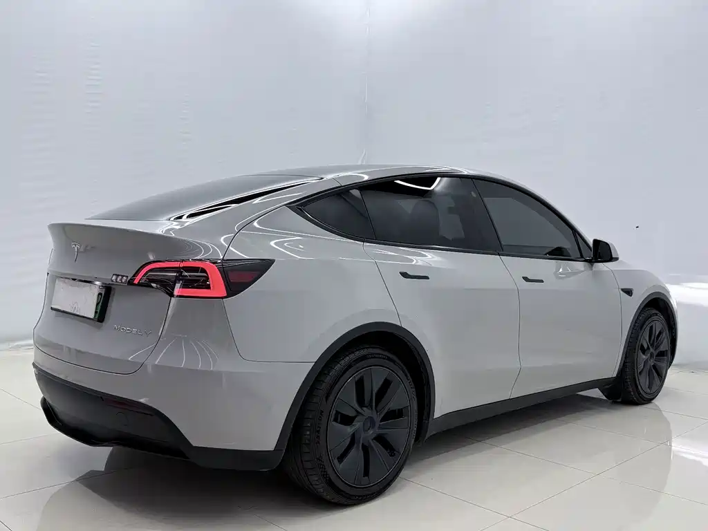 Tesla Model Y — миниатюра 12