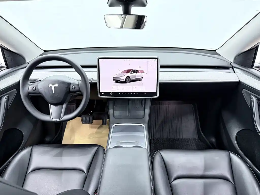 Tesla Model Y — миниатюра 8