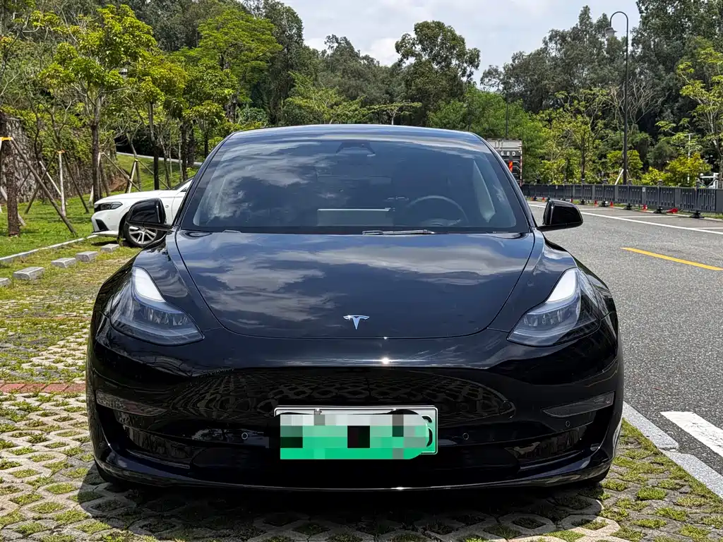 Tesla Model 3 — миниатюра 2