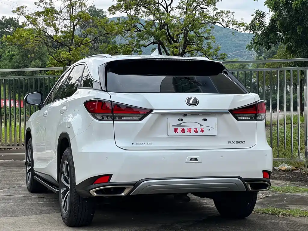Lexus RX — миниатюра 43