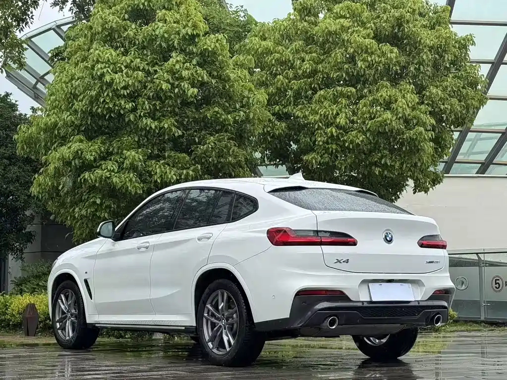 BMW X4 2019 xDrive25i M Sport
