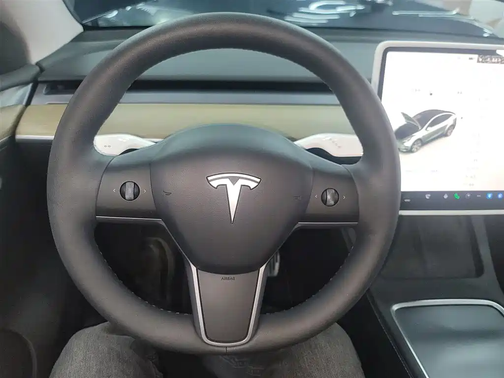 Tesla Model Y — фотографии объявления, Фото 11