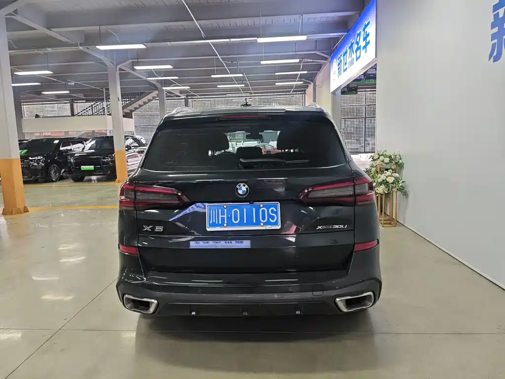 BMW X5 — миниатюра 9