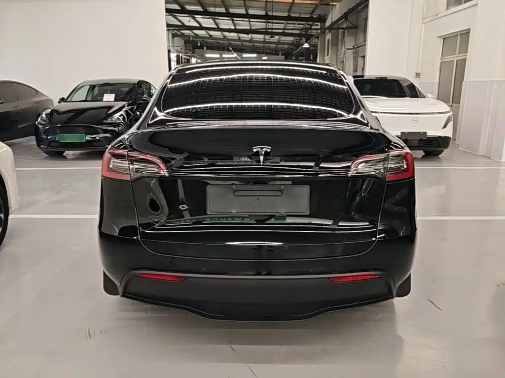 Tesla Model Y — миниатюра 6