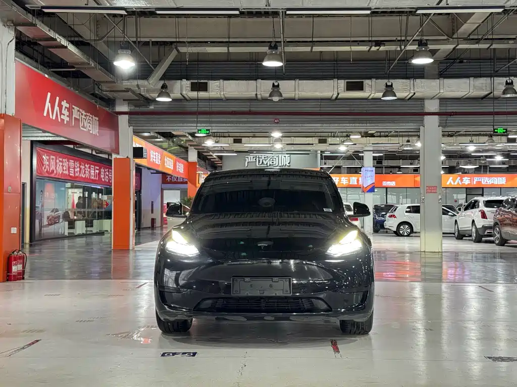 Tesla Model Y — миниатюра 2