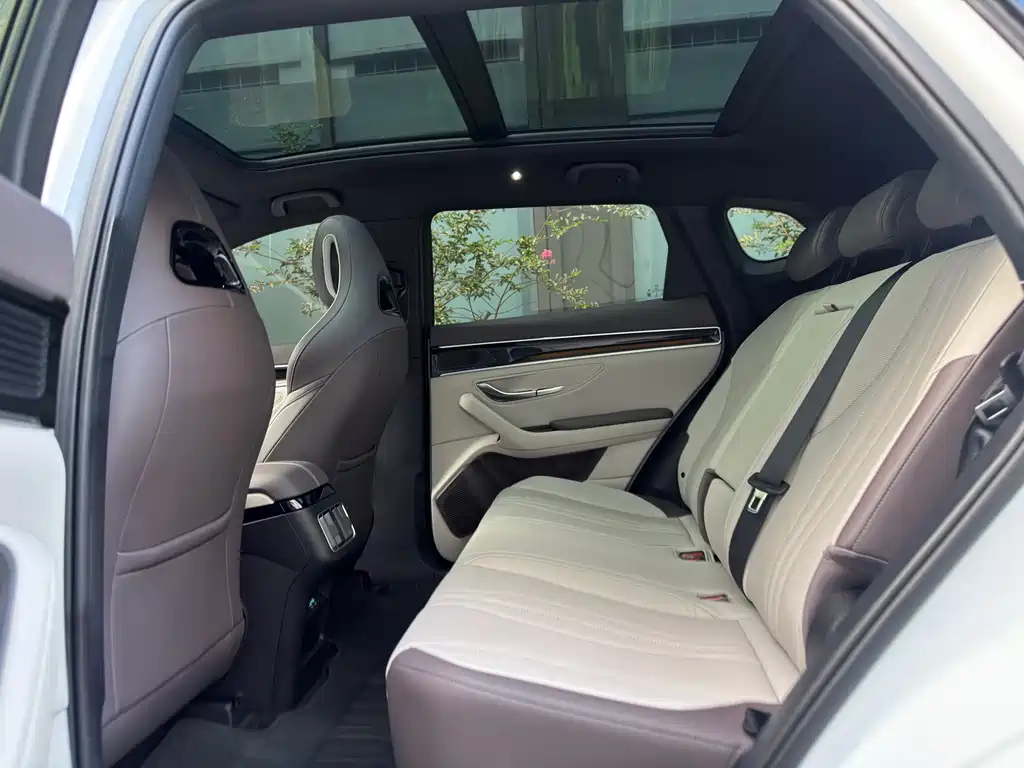 BYD PLUS New Energy — миниатюра 16