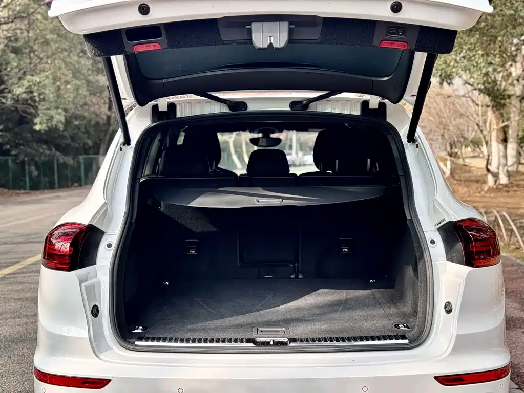 PORSCHE CAYENNE NEW ENERGY