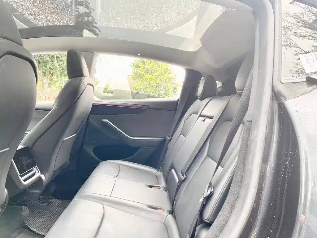 Tesla Model Y — миниатюра 5