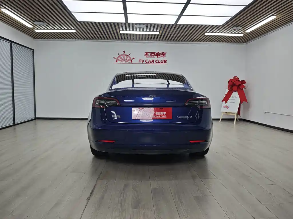 Tesla Model 3 — миниатюра 6