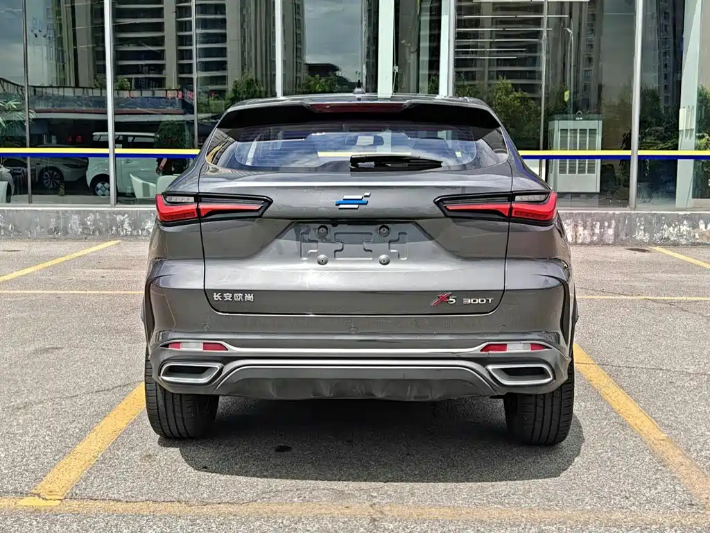 Oshan Oushang X5 — миниатюра 6