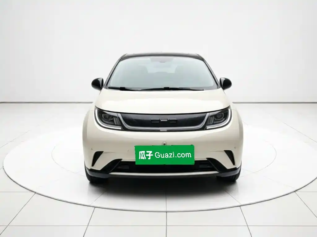 BYD Dolphin — миниатюра 2