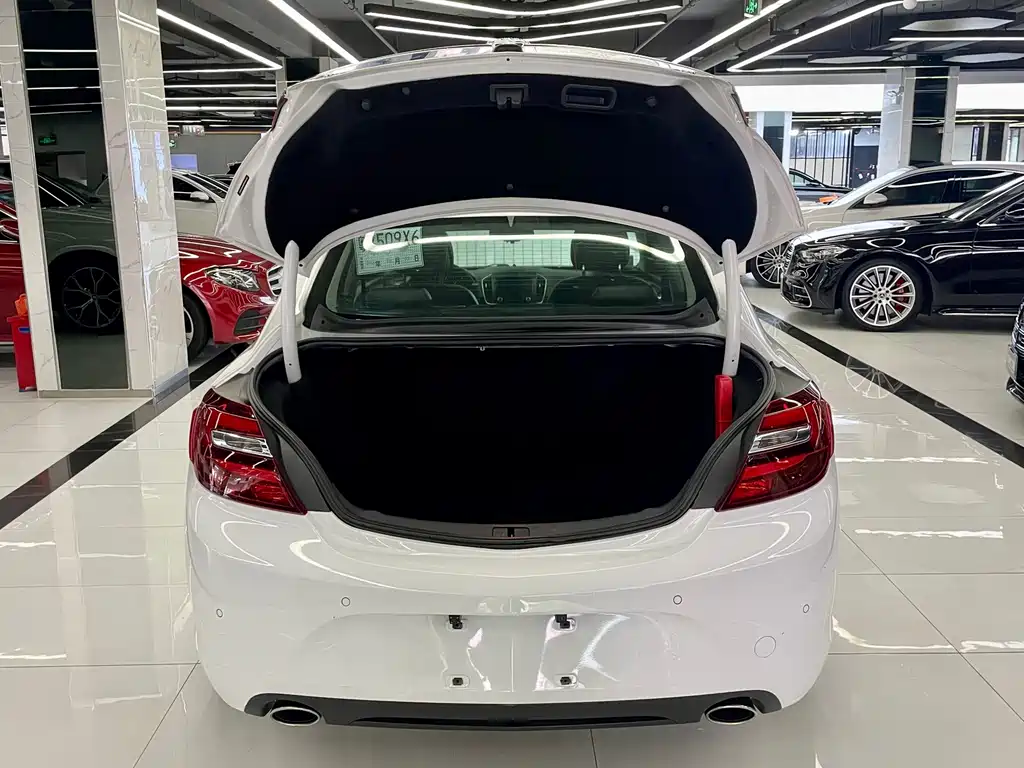 Buick Regal — миниатюра 15
