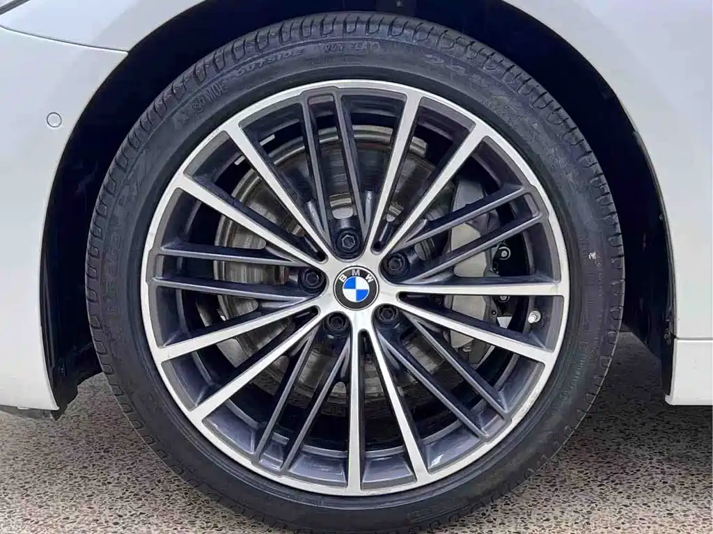 BMW 5 Series 5 2020 530Li Lead M Sport