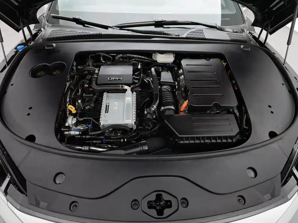 BYD Han — миниатюра 6