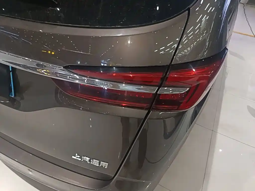 Buick GL8 — миниатюра 8