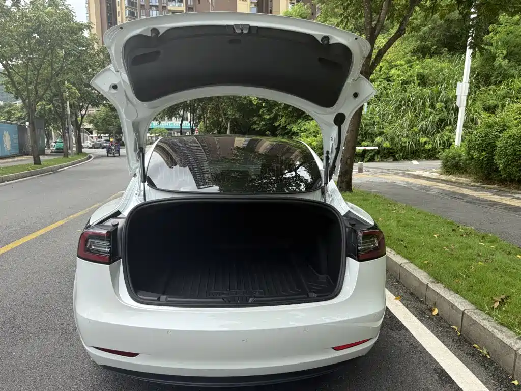 Tesla Model 3 — миниатюра 8