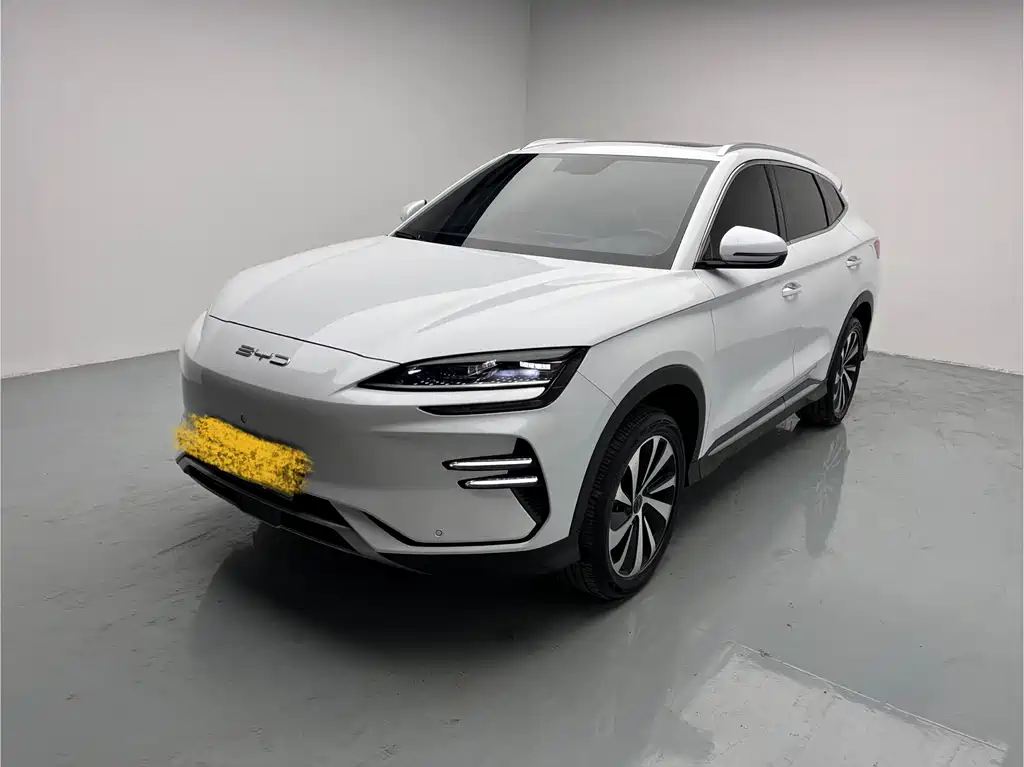 Byd PLUS New Energy 2024