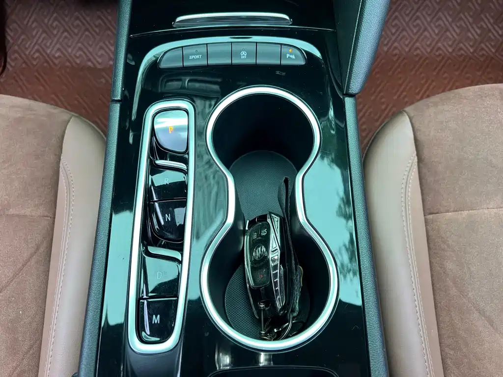 Buick Regal — миниатюра 14