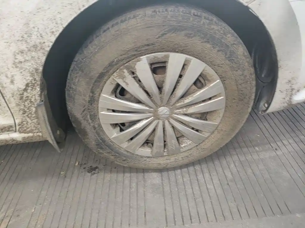 Volkswagen Santana — миниатюра 8