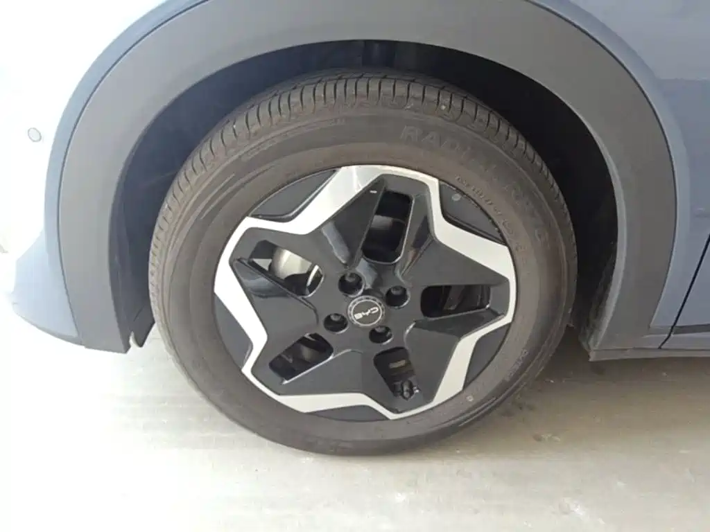 BYD Dolphin — миниатюра 23