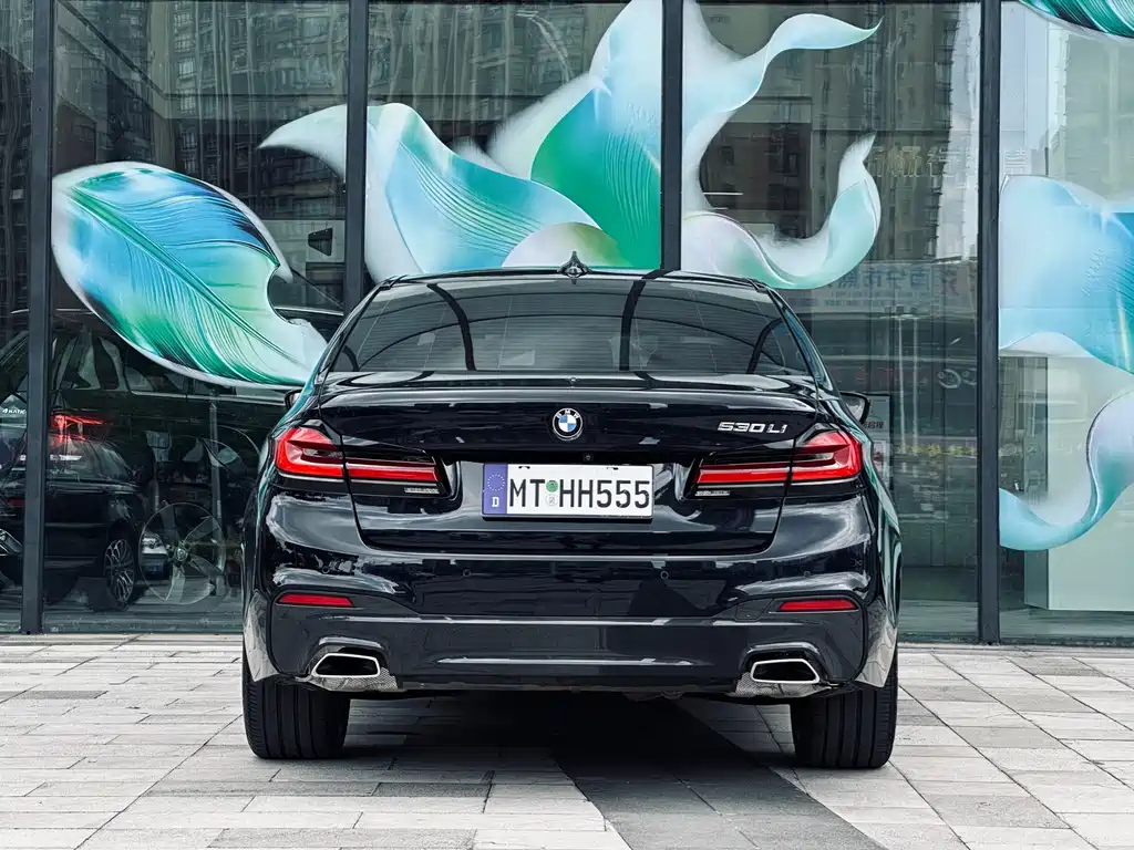 BMW 5 Series — миниатюра 3