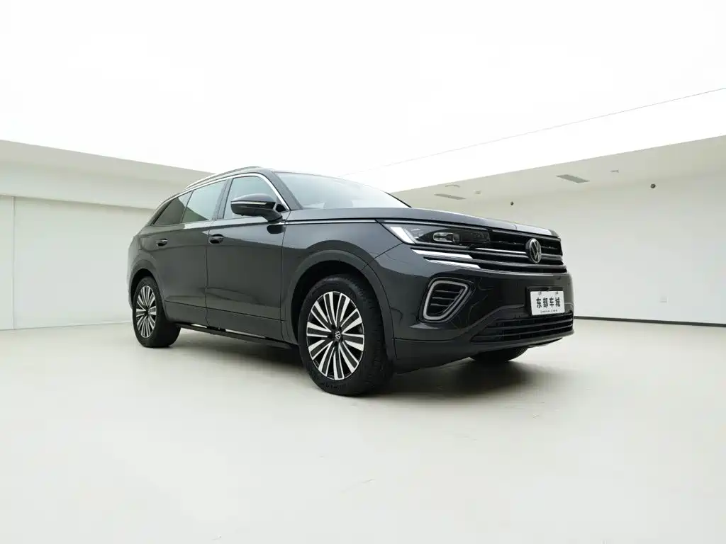 Volkswagen Tavendor — миниатюра 3