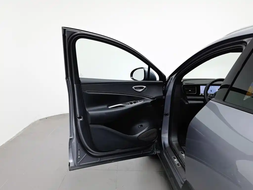 BYD Haisi 06 — миниатюра 8