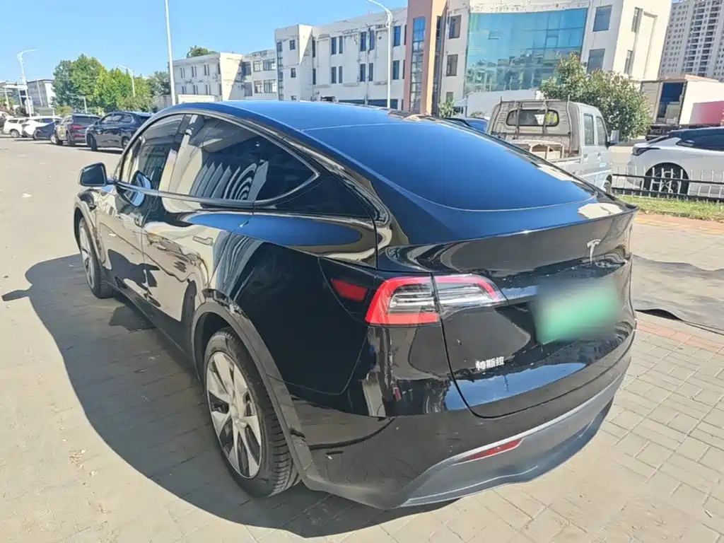 Tesla Model Y — миниатюра 5