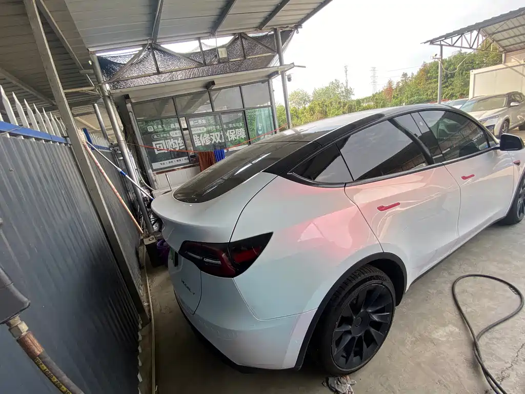 Tesla Model Y — миниатюра 7
