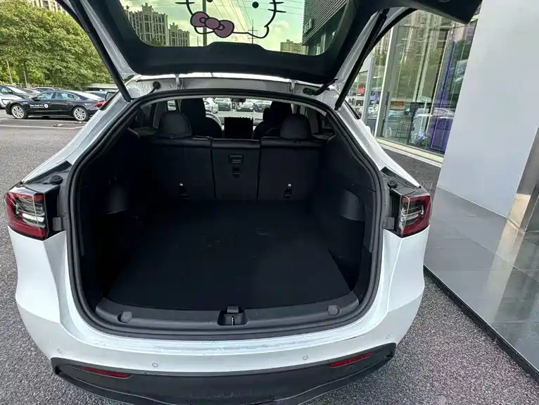 Tesla Model Y — миниатюра 9
