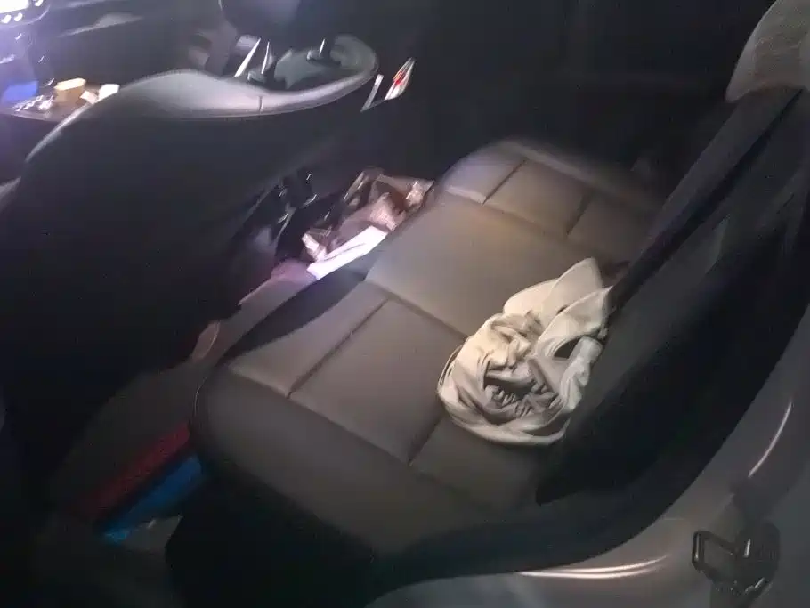 Haval Big Dog — миниатюра 11