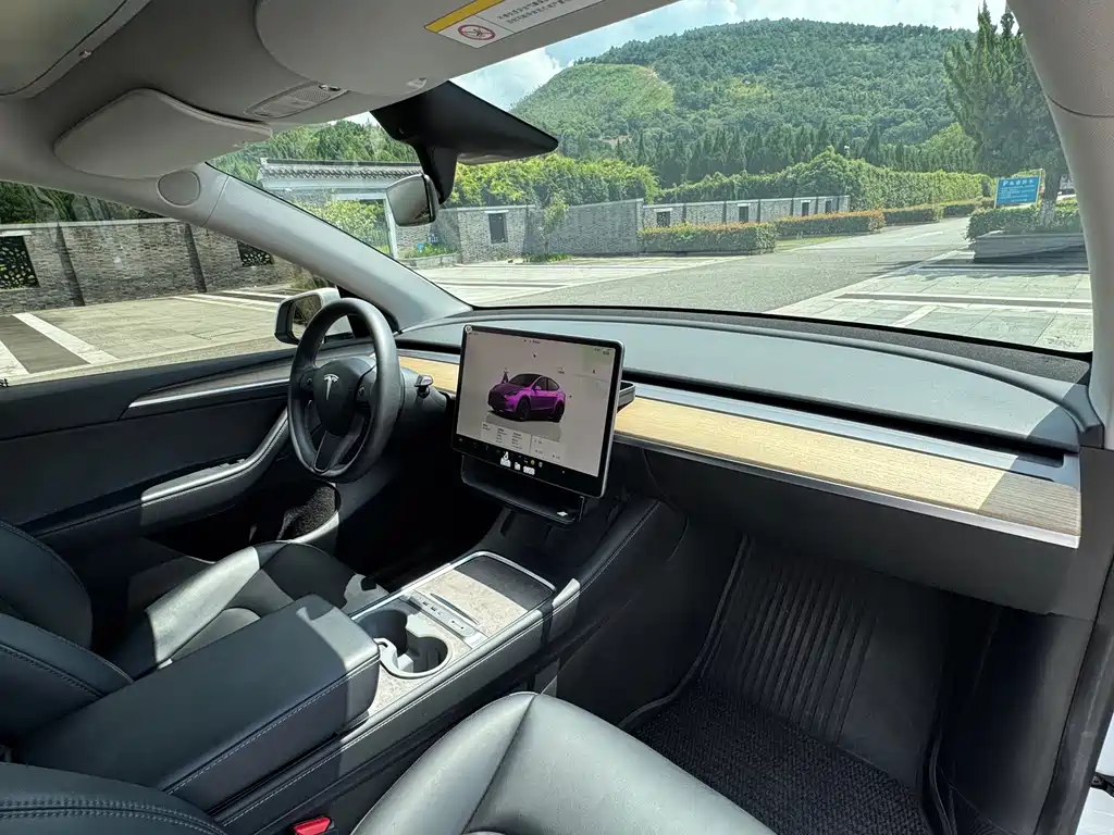 Tesla Model Y — миниатюра 10