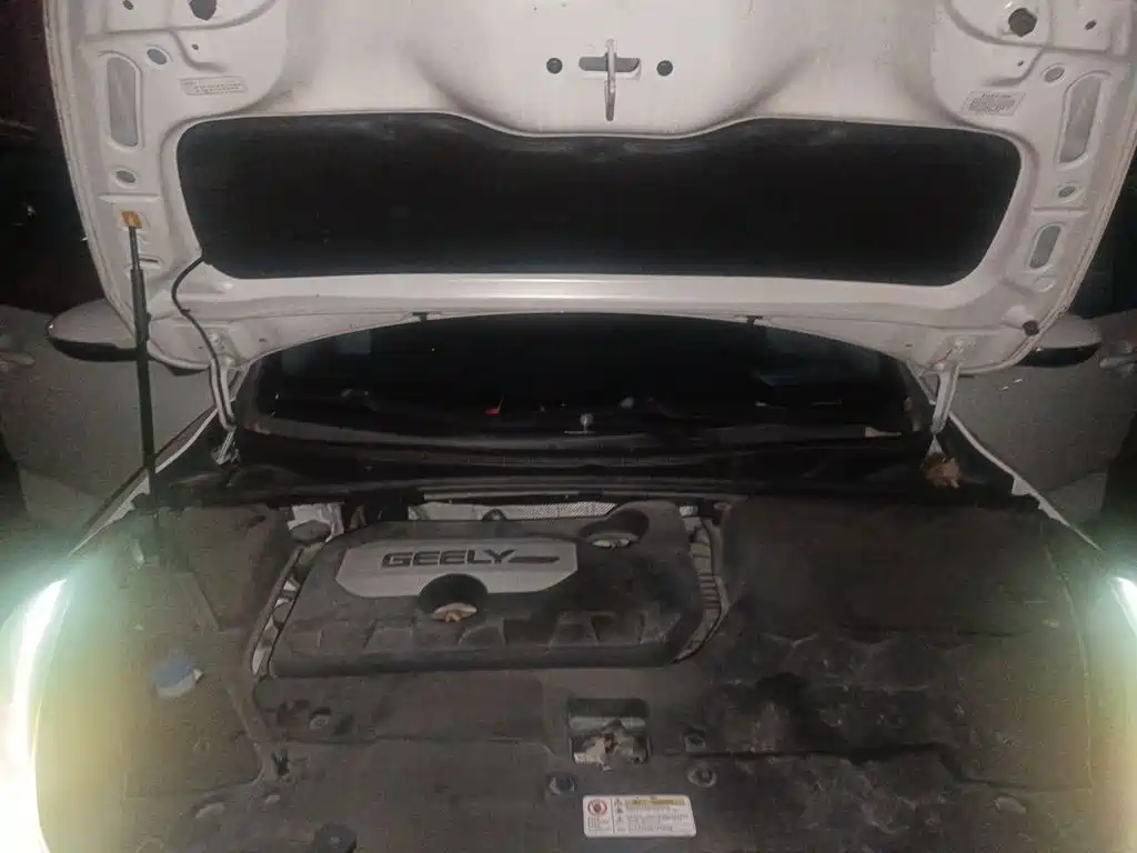 Geely Emgrand GS — миниатюра 17