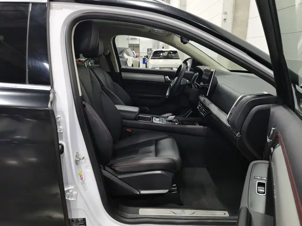 BYD Tang New Energy — миниатюра 23