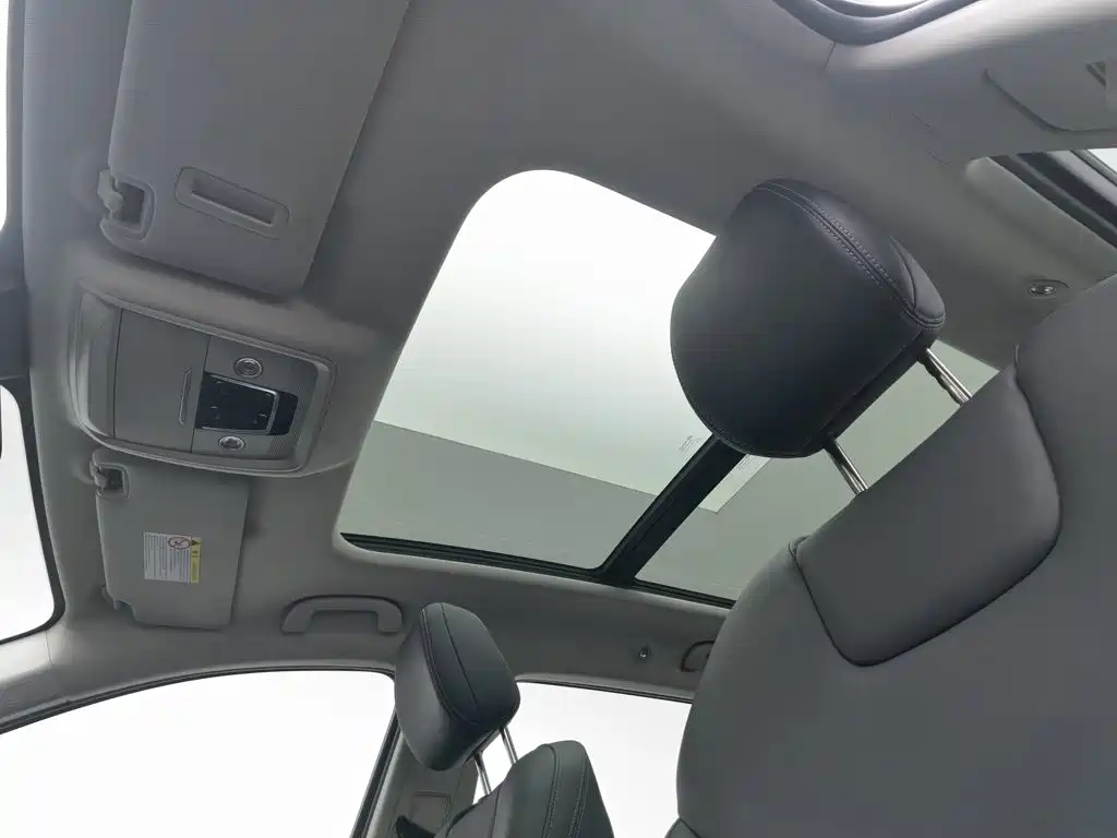 BYD Pro — миниатюра 14