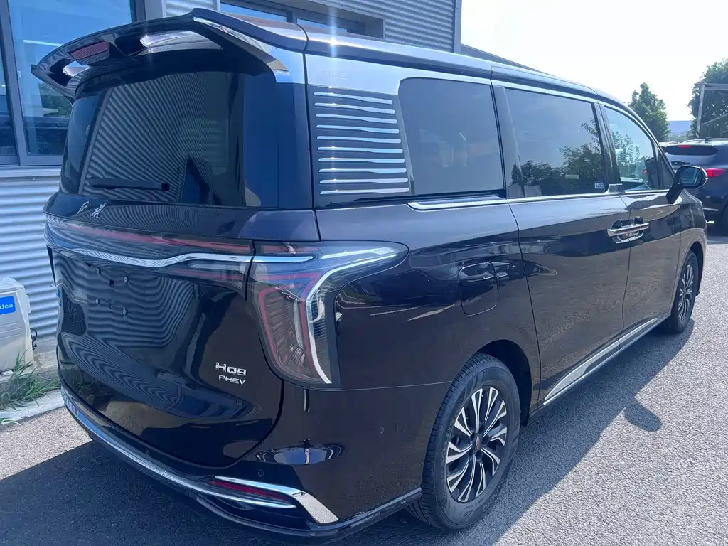 Hongqi Hongqi HQ9 PHEV — миниатюра 9