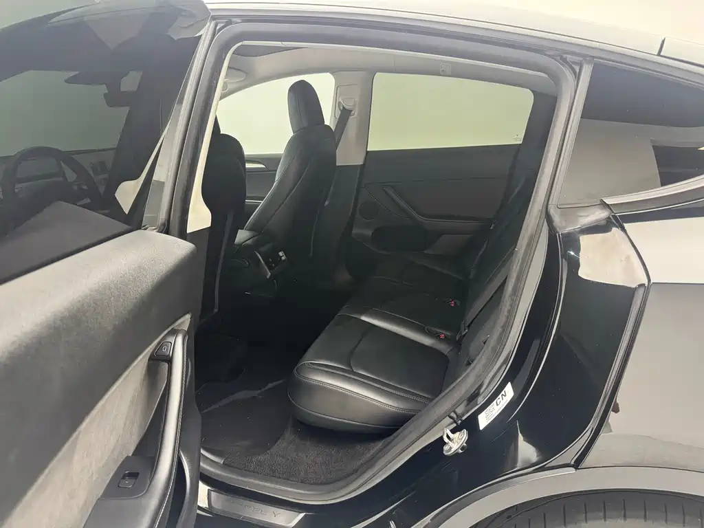 Tesla Model Y — миниатюра 8