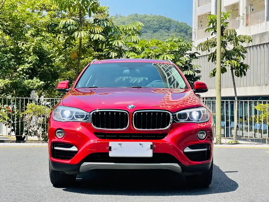 BMW X6 xDrive35i Leading Type, фото 3