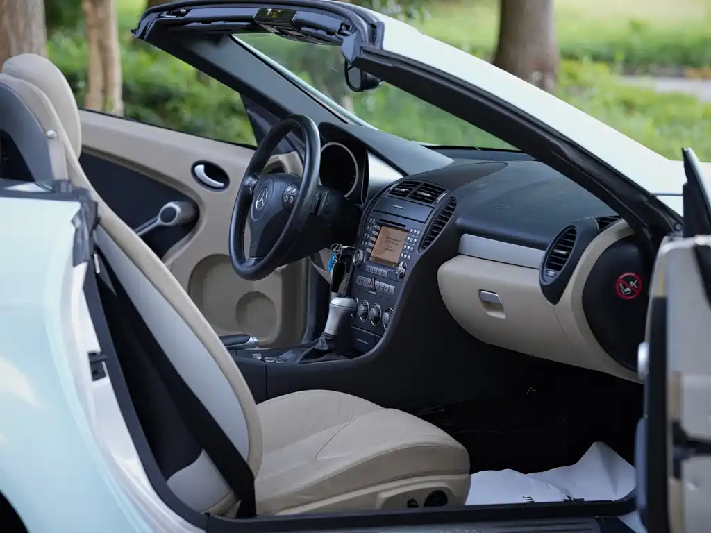 Mercedes-Benz SLK-Class — миниатюра 19