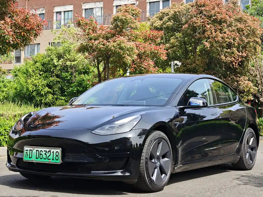 Tesla Model 3 2022