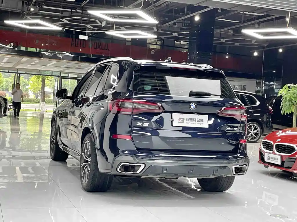 BMW X5 (Import) — миниатюра 11