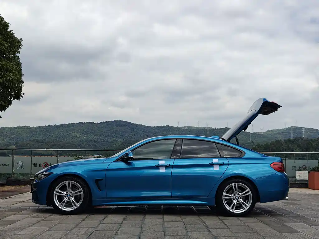 BMW 4 Series — миниатюра 20