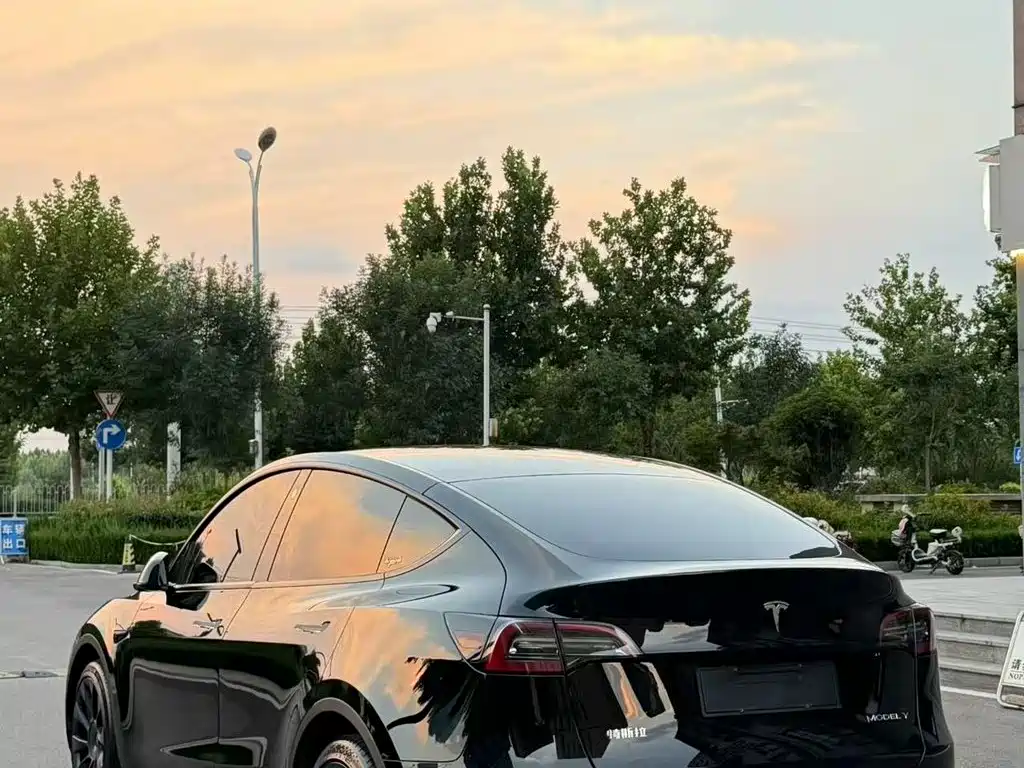 Tesla Model Y — миниатюра 2