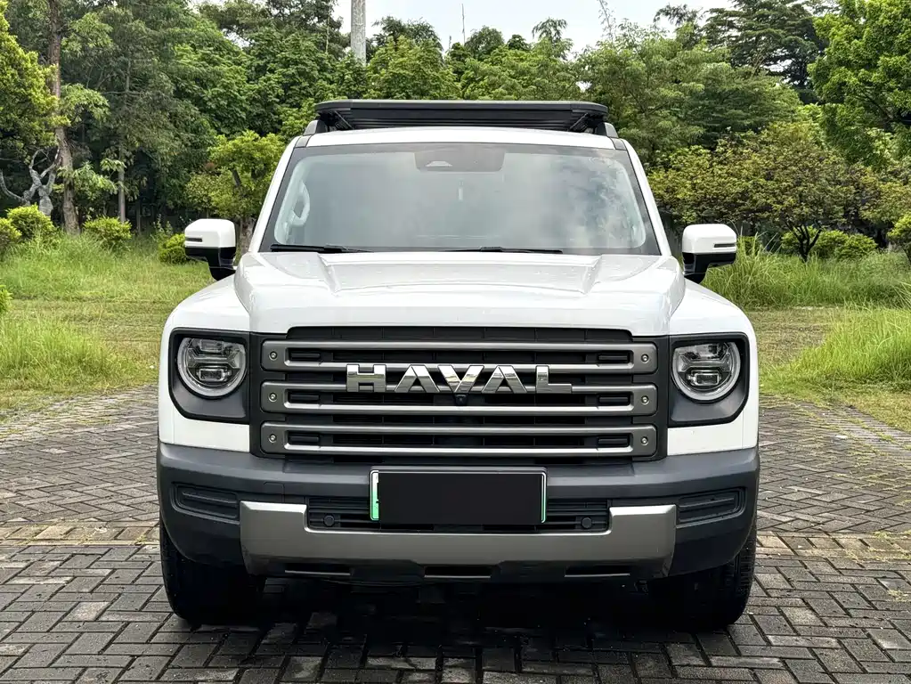 Haval Menglong New Energy — миниатюра 2