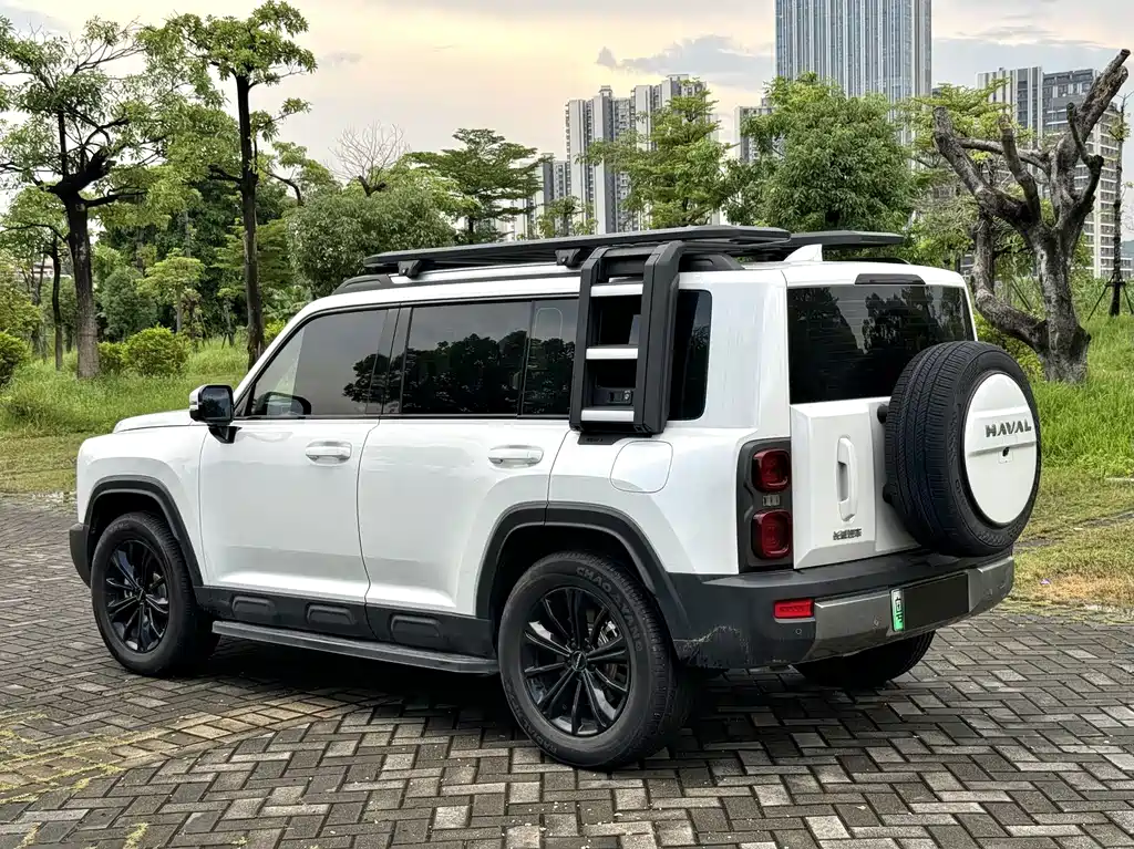 Haval Menglong New Energy — миниатюра 7