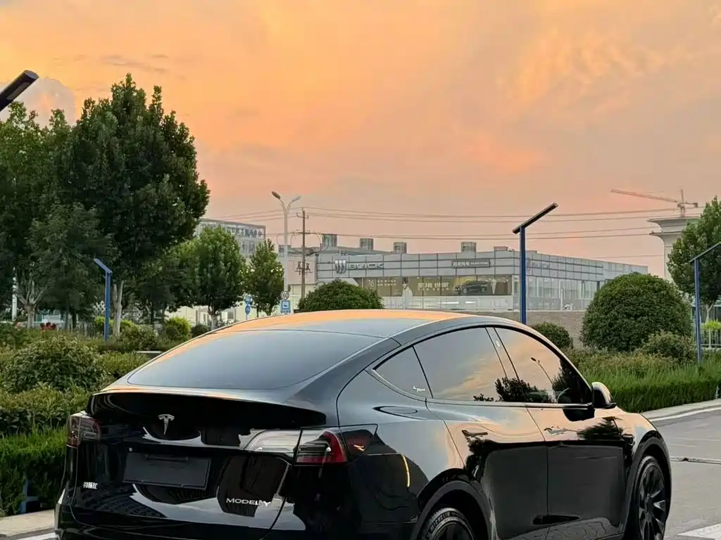 Tesla Model Y — миниатюра 4