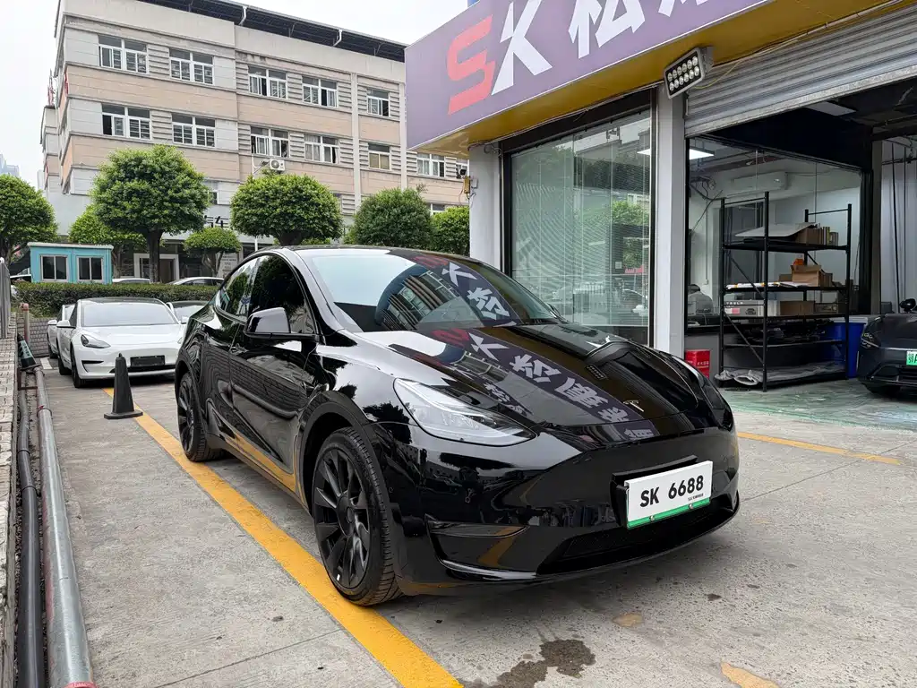 Tesla Model Y — миниатюра 3