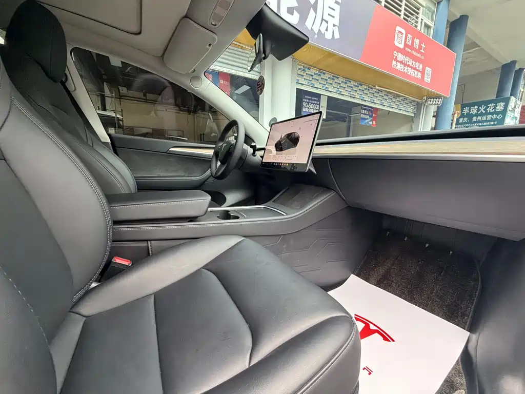 Tesla Model Y — миниатюра 10