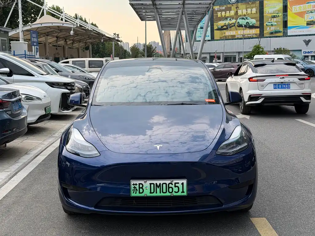 Tesla Model Y — миниатюра 2