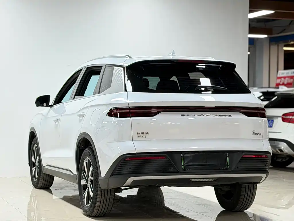 BYD Pro New Energy — миниатюра 6